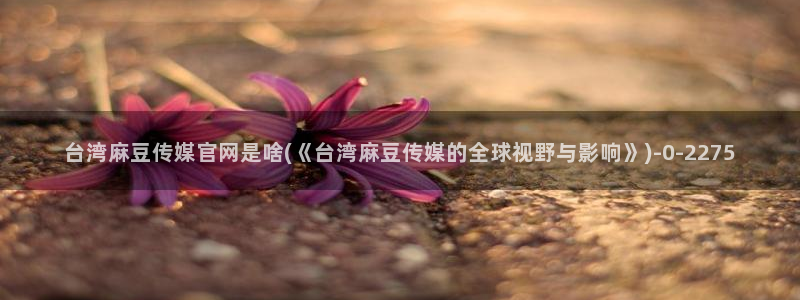 麻豆传媒下载官网：台湾麻豆传媒官网是啥(《台湾麻豆传媒的全球视野与影响》)