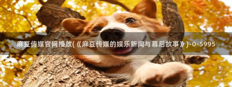 麻豆i传媒官网：麻豆传媒官网播放(《麻豆传媒的娱乐新闻与幕后故事》)