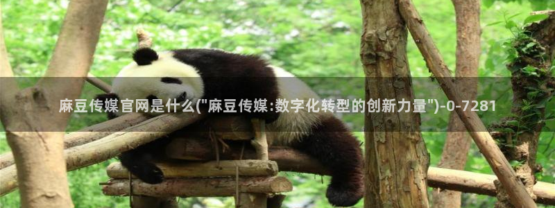 麻豆文化传媒 官网：麻豆传媒官网是什么(\