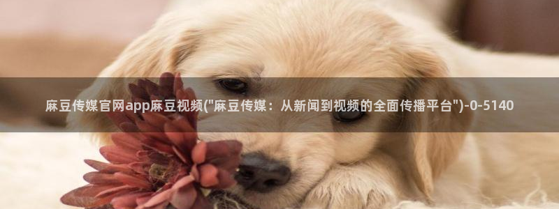 麻豆传媒直播官网 视频：麻豆传媒官网app麻豆视频(\