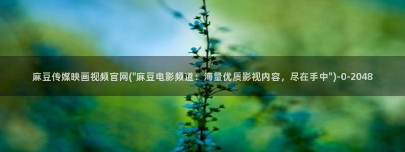 麻豆传媒官网18：麻豆传媒映画视频官网(\