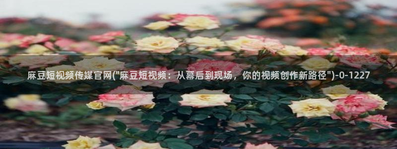 麻豆官网传媒下载：麻豆短视频传媒官网(\