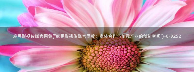 官网麻豆传媒视频：麻豆影视传媒官网黄(\