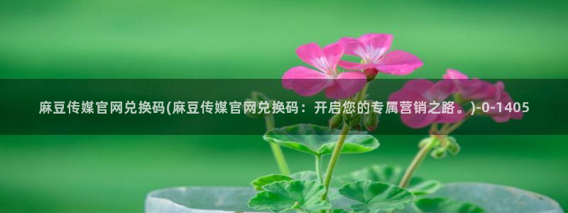麻豆传媒官网怎么打开