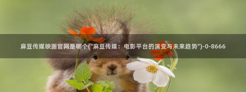 91麻豆传媒官网APP：麻豆传媒映画官网是哪个(\