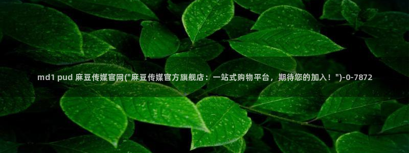麻豆京东果冻传媒官网