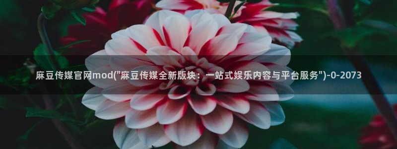 麻豆传媒官网在哪：麻豆传媒官网mod(\