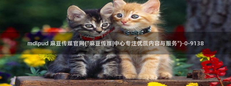 台湾麻豆传媒官网是：mdlpud 麻豆传媒官网(\