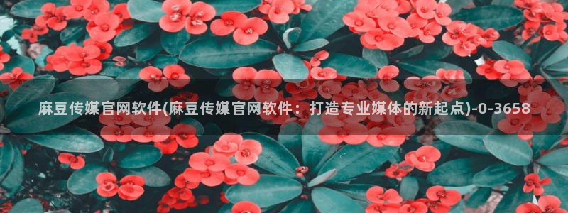 麻豆传媒直播官网01