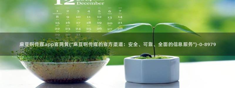麻豆传媒官网免费看