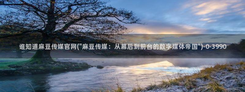 麻豆传媒官网怎么打开：谁知道麻豆传媒官网(\