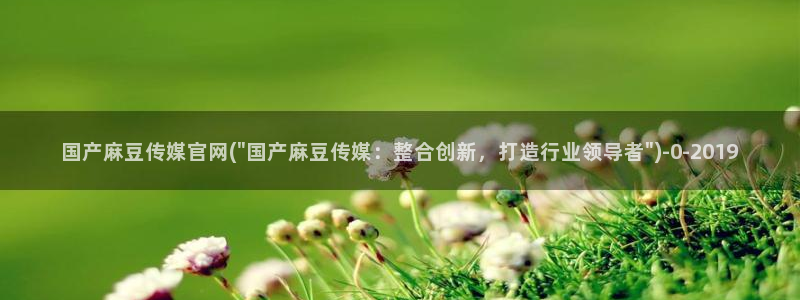 国产麻豆剧传媒官网