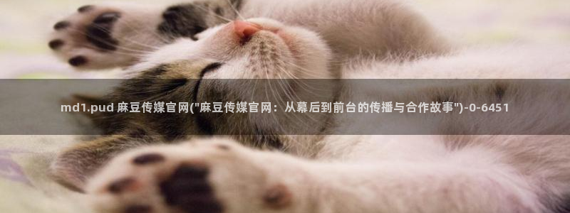 麻豆传媒直播官网兄妹