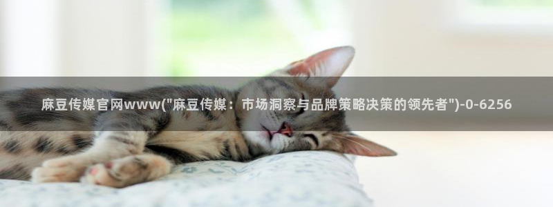 易站麻豆传媒官网：麻豆传媒官网www(\