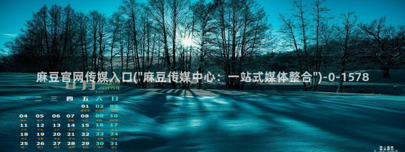 麻豆映画传媒官网欢迎你