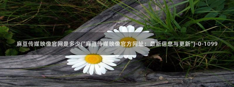 麻豆传媒手机官网