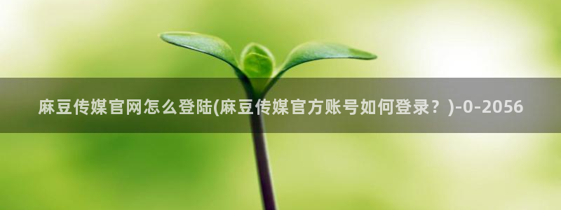 麻豆星空传媒官网