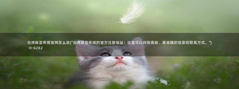 m麻豆传媒官网：台湾麻豆传媒官网怎么进(\